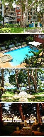 Beachview Apartments at Villa Paradiso Palm Cove